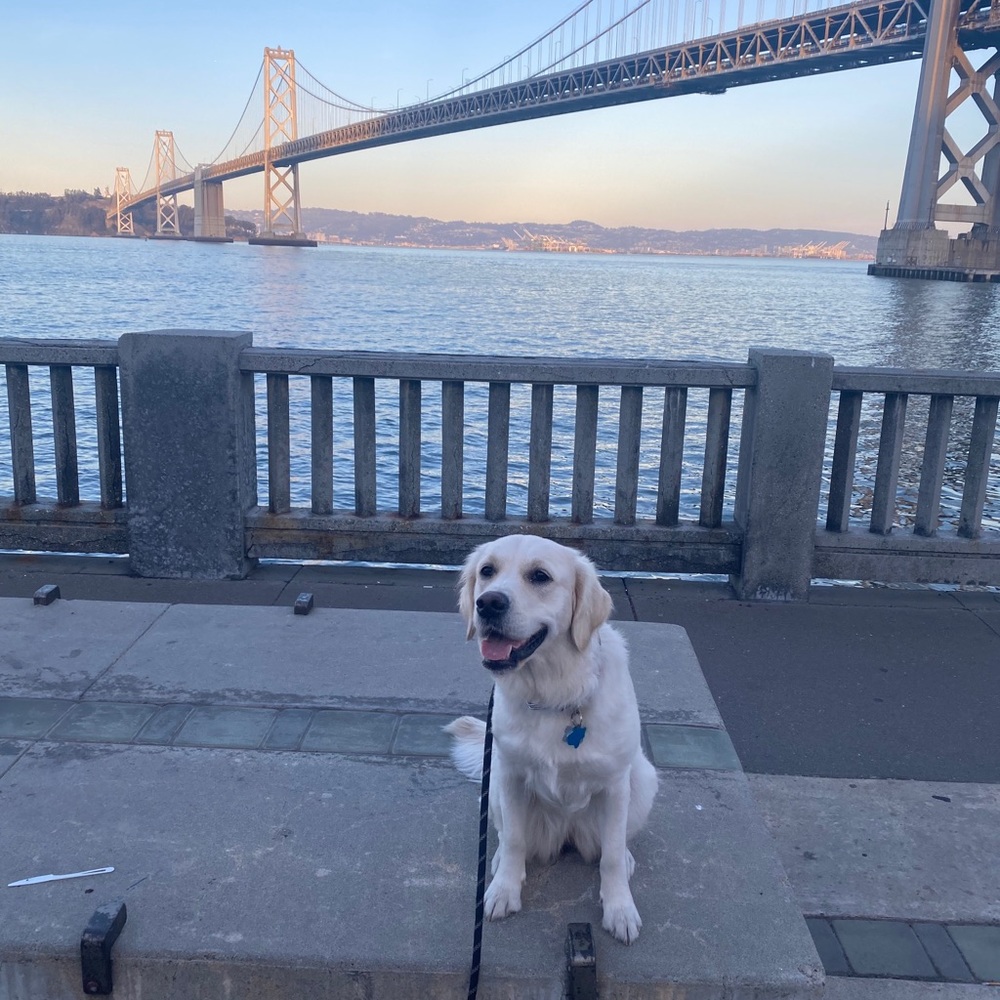 Meet your Posher, Kathir